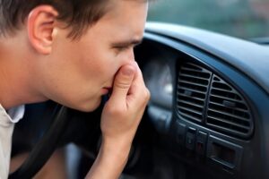 xe ô tô có mùi xăng sống
